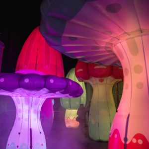 Inflatable Billboards Inflatable Billboards